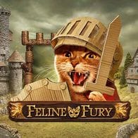 Feline Fury screenshot